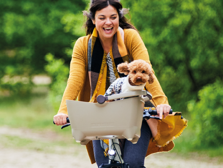 Basil collection 2025