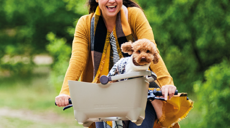 Basil collection 2025