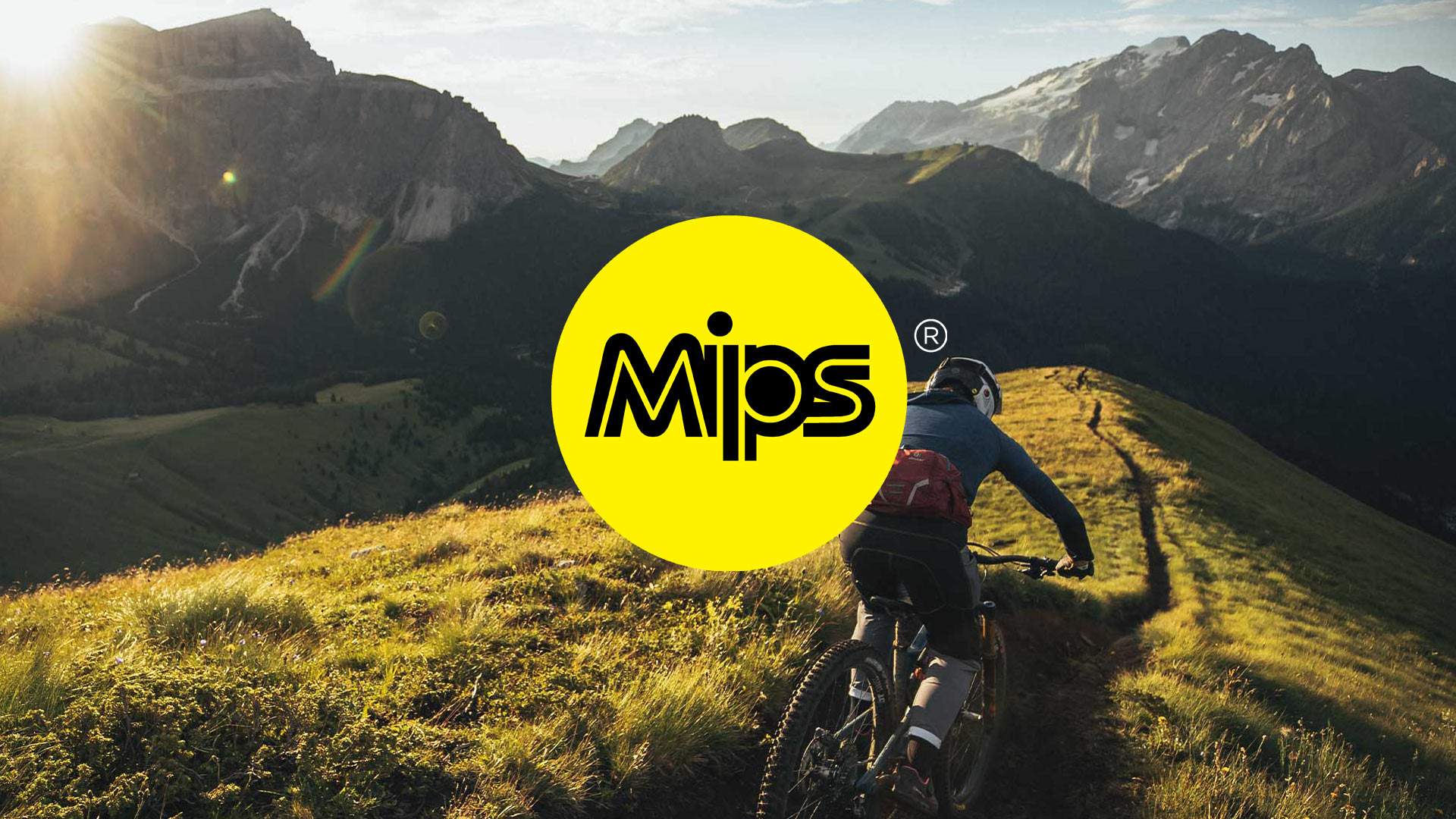 How MIPS works