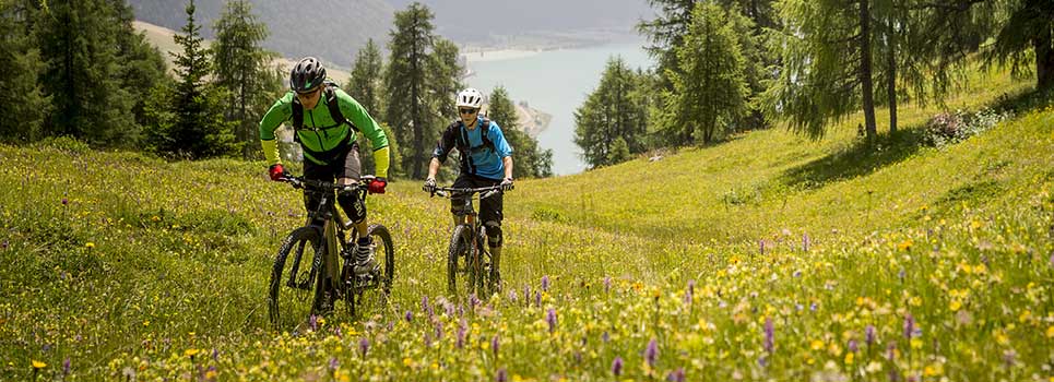 With Rodi, you can reach new heights