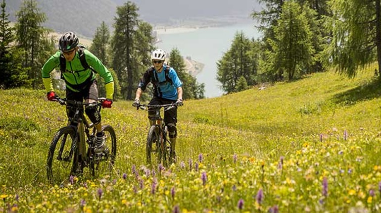 With Rodi, you can reach new heights